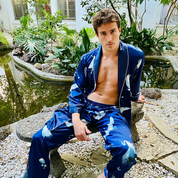 Silky Blue Bird Print Robe and Short Pajama Set - Picture 2 of 5